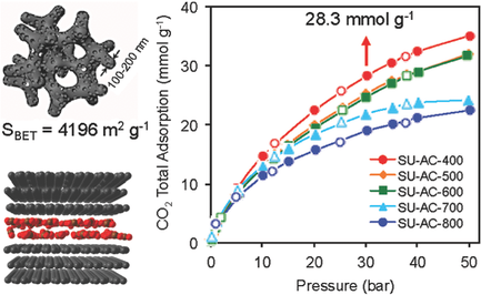 Tunable Polyaniline‐Based Porous Carbon with Ultrahigh Surface Area for ...