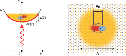WSe2中激子的光学偶极矩和辐射复合寿命。,Advanced Functional Materials - X-MOL