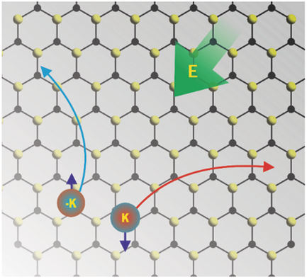 Atomically Thin MoS2: A Versatile Nongraphene 2D Material,Advanced ...