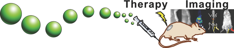 advanced-functional-nanomaterials-for-theranostics-advanced-functional