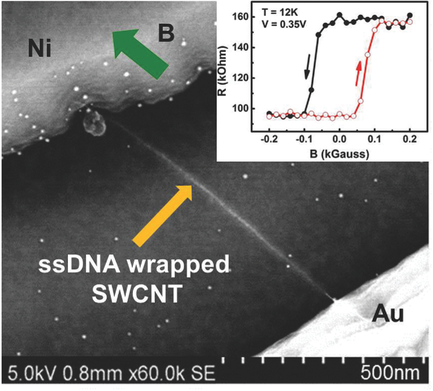Spin Filtering through Single‐Wall Carbon Nanotubes Functionalized with ...