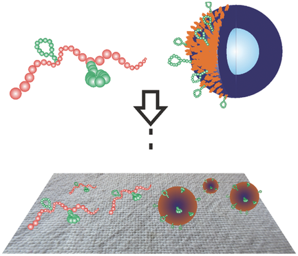 Peptide‐Enhanced Selective Surface Deposition of Polymer‐Based ...