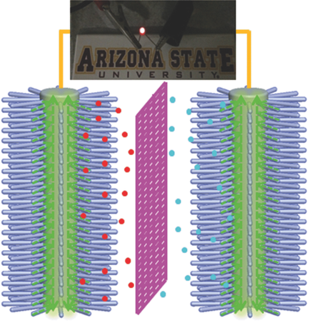 Radially Aligned Porous Carbon Nanotube Arrays On Carbon Fibers: A ...