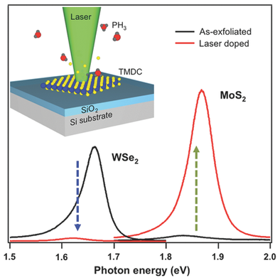 Site Selective Doping of Ultrathin Metal Dichalcogenides by Laser ...