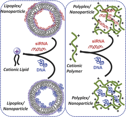 Combinatorial Approach To Nanoarchitectonics For Nonviral Delivery Of ...