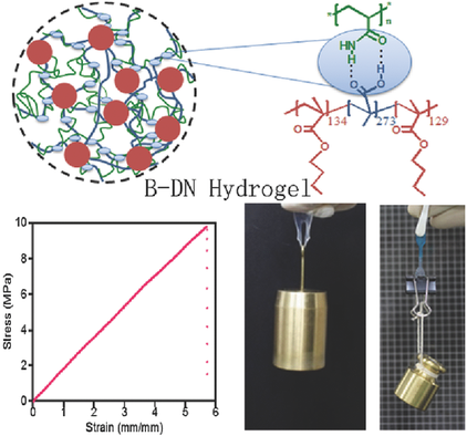 Tough Physical Double‐Network Hydrogels Based On Amphiphilic Triblock ...