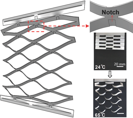 Programmable Kiri‐Kirigami Metamaterials,Advanced Materials - X-MOL