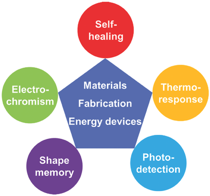 Multifunctional Energy Storage and Conversion Devices,Advanced ...