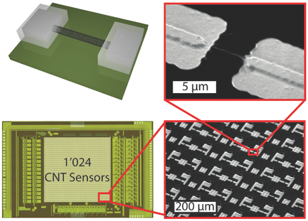 Dielectrophoresis‐Assisted Integration of 1024 Carbon Nanotube Sensors ...