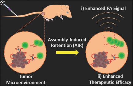 In Situ Formation of Nanofibers from Purpurin18‐Peptide Conjugates and ...