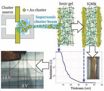 Electroactive Ionic Soft Actuators with Monolithically Integrated Gold ...