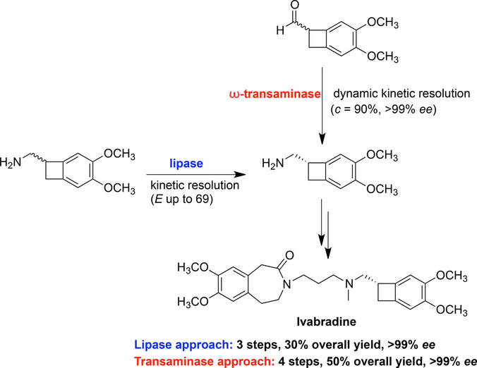 Exploiting the Biocatalytic Toolbox for the Asymmetric Synthesis of the ...