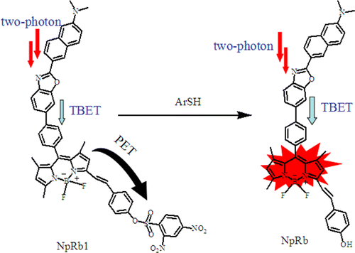 Efficient Two-Photon Fluorescent Probe with Red Emission for Imaging of ...