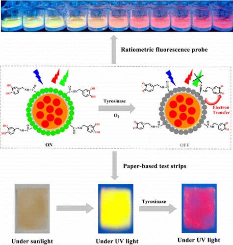Visual and Fluorescent Detection of Tyrosinase Activity by Using a Dual ...