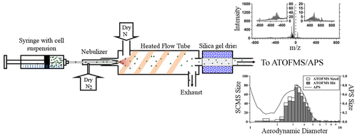 Online Analysis of Single Cyanobacteria and Algae Cells under Nitrogen ...