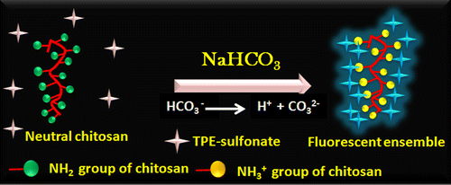 Fluorescence Turn On Chemosensor For The Detection Of Dissolved CO Based On Ion Induced