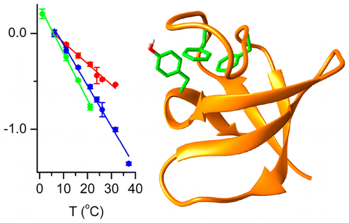 CN和SCN IR吸收的温度依赖性有利于它们的解释和用作蛋白质探针,Analytical Chemistry - X-MOL