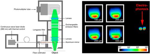 Upconversion Laser Highly Sensitive Laser Scanning of Photon-Upconverting Nanoparticles on ...