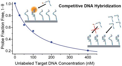 Competitive Assays of Label-Free DNA Hybridization with Single-Molecule ...