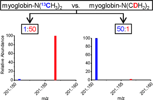 Intact Protein Quantitation Using Pseudoisobaric Dimethyl Labelinganalytical Chemistry X Mol 5299