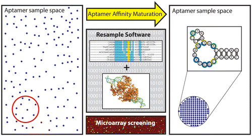 Aptamer Affinity Maturation by Resampling and Microarray Selection ...