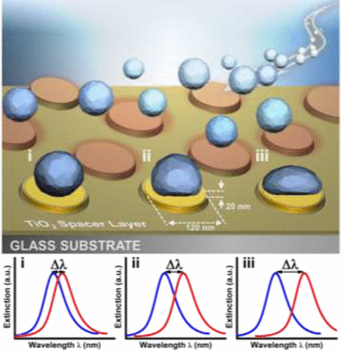 Quantitative Profiling Of Nanoscale Liposome Deformation By A Localized ...