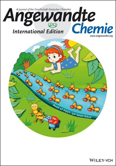 封面图片,Angewandte Chemie International Edition - X-MOL