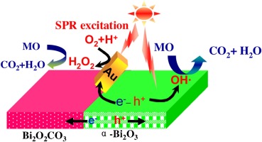 Integrating Plasmonic Au Nanorods With Dendritic Like α-Bi2O3/Bi2O2CO3 ...