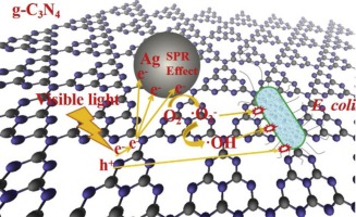 Ag改性g-C3N4复合材料在可见光下的增强消毒应用,Applied Catalysis B: Environmental - X-MOL