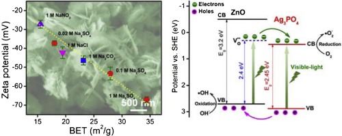 高表面积的富含缺陷的ZnO纳米片作为有效的可见光光催化剂,Applied Catalysis B: Environment and ...