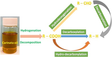 Hydroprocessing of carinata oil for hydrocarbon biofuel over Mo-Zn ...