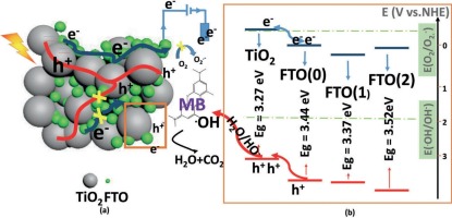 Optical Band Structure And Photogenerated Carriers Transfer Dynamics In ...