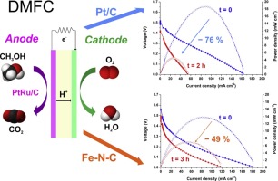 Performance of a Fe-N-C catalyst for the oxygen reduction reaction in ...