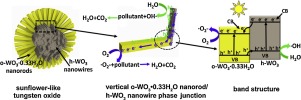 具有高光催化性能的垂直正交/六方氧化钨相结的制备,Applied Catalysis B: Environment And Energy ...