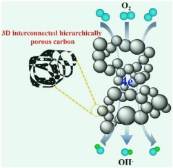 3D interconnected hierarchically porous N-doped carbon with NH3 ...