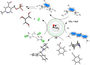 A Catalytic Approach To Synthesis Of PLP Analogs And Other ...