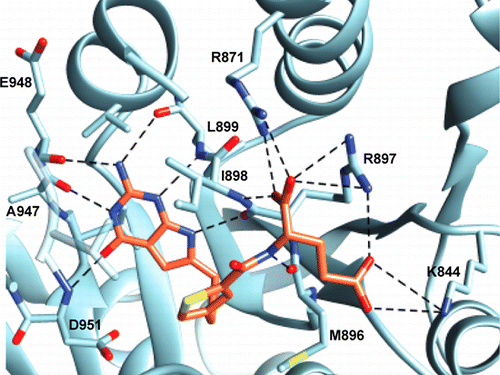 Structural and Enzymatic Analysis of Tumor-Targeted Antifolates That ...