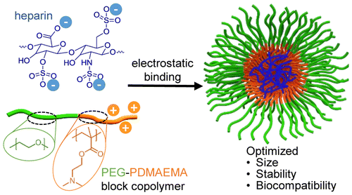 PEG-PDMAEMA嵌段共聚物结构对肝素与聚电解质复合物形成的影响,Biomacromolecules - X-MOL