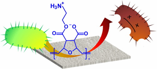 同时抗菌,抗蛋白质和细胞相容性的两性离子网络。,Biomacromolecules XMOL