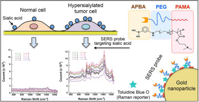 Application of surface enhanced Raman spectroscopy as a diagnostic ...