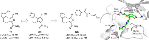 Design and synthesis of selective CDK8/19 dual inhibitors: Discovery of ...