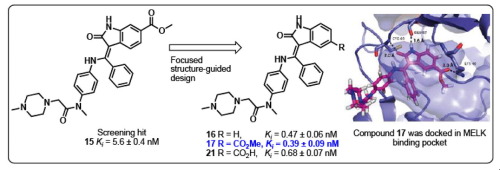 Discovery of a Potent Inhibitor of MELK that Inhibits Expression of the ...