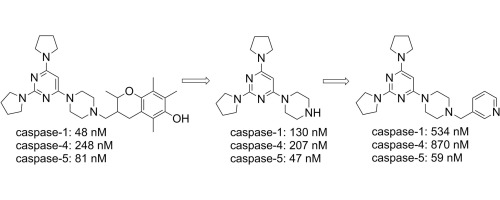 Variation Of The Aryl Substituent On The Piperazine Ring Within The 4