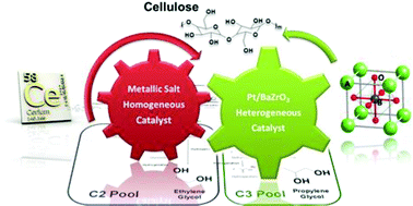 Catalytic conversion of cellulose to C2–C3 glycols by dual association ...