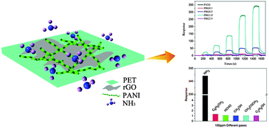 Ultrasensitive room temperature NH3 sensor based on a graphene ...