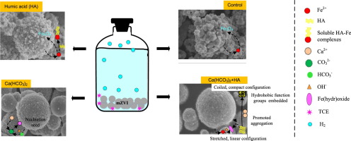 Individual and combined effects of humic acid, bicarbonate and calcium ...