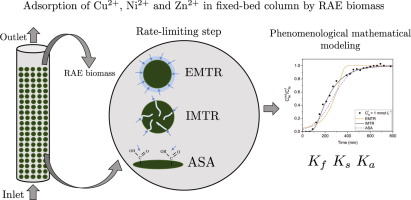 Phenomenological mathematical modeling of heavy metal biosorption in ...