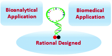 Rationally designed molecular beacons for bioanalytical and biomedical ...