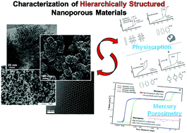 Recent advances in the textural characterization of hierarchically ...