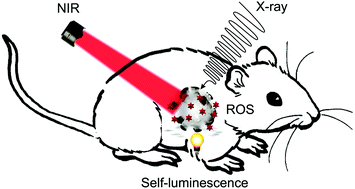 克服光动力疗法的致命弱点,Chemical Society Reviews - X-MOL